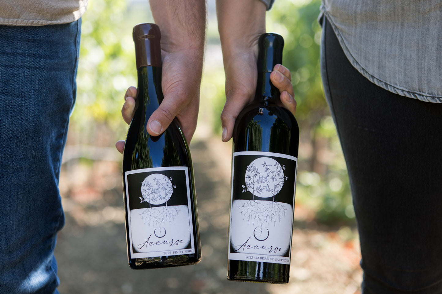 2022 Cabernet Sauvignon