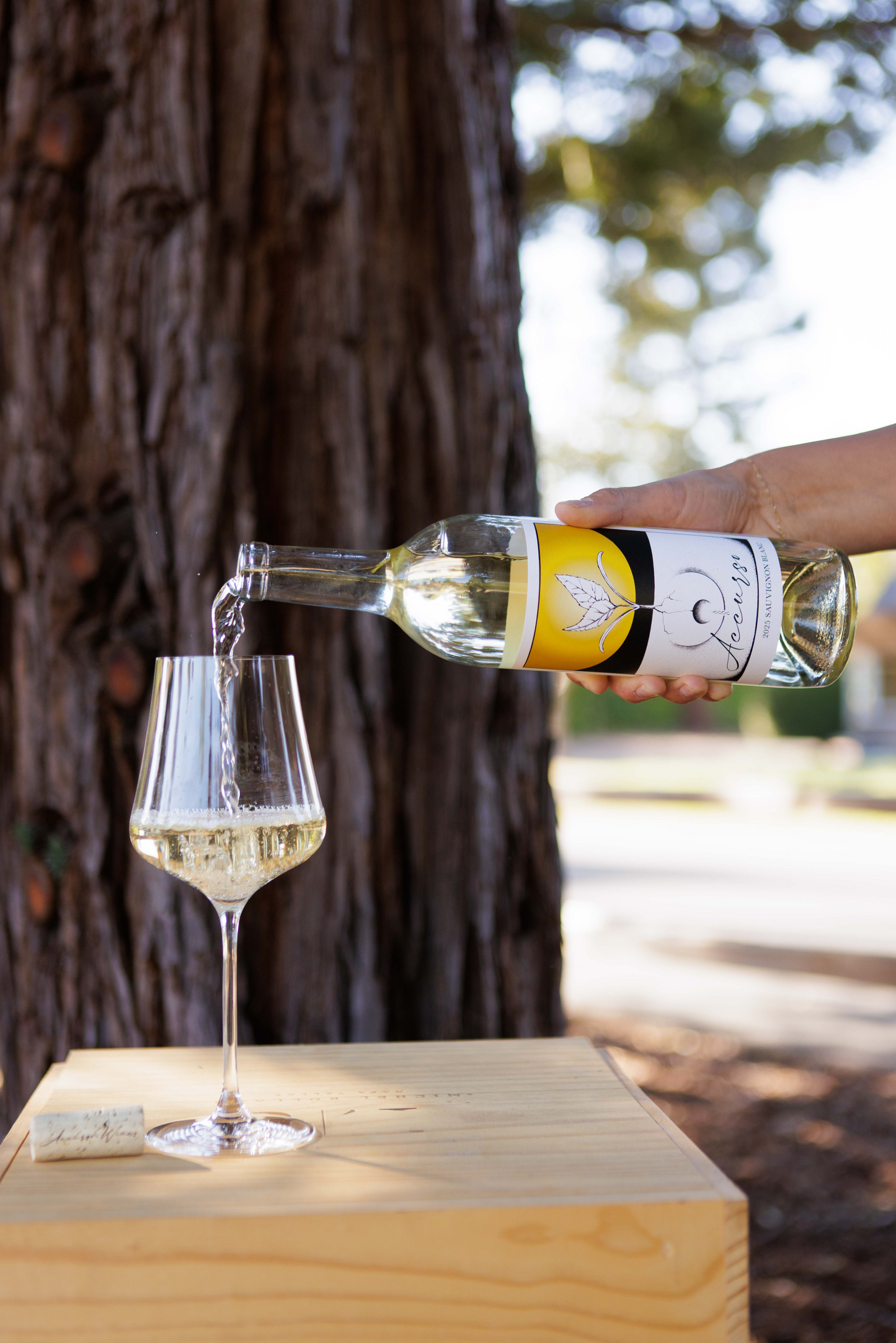 2025 Sauvignon Blanc