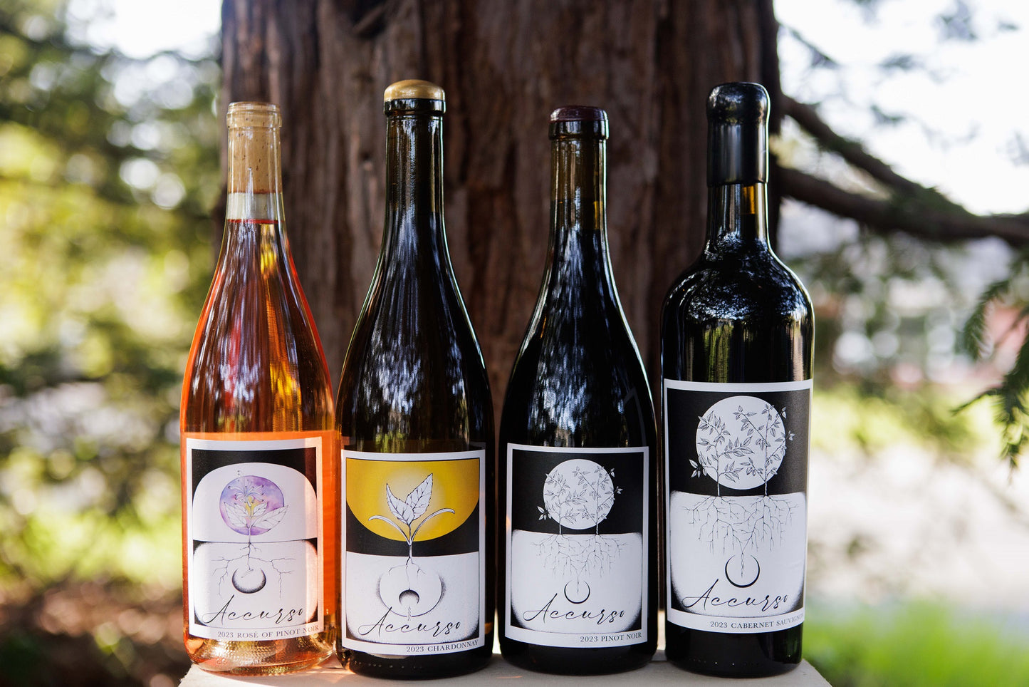 Wine Club