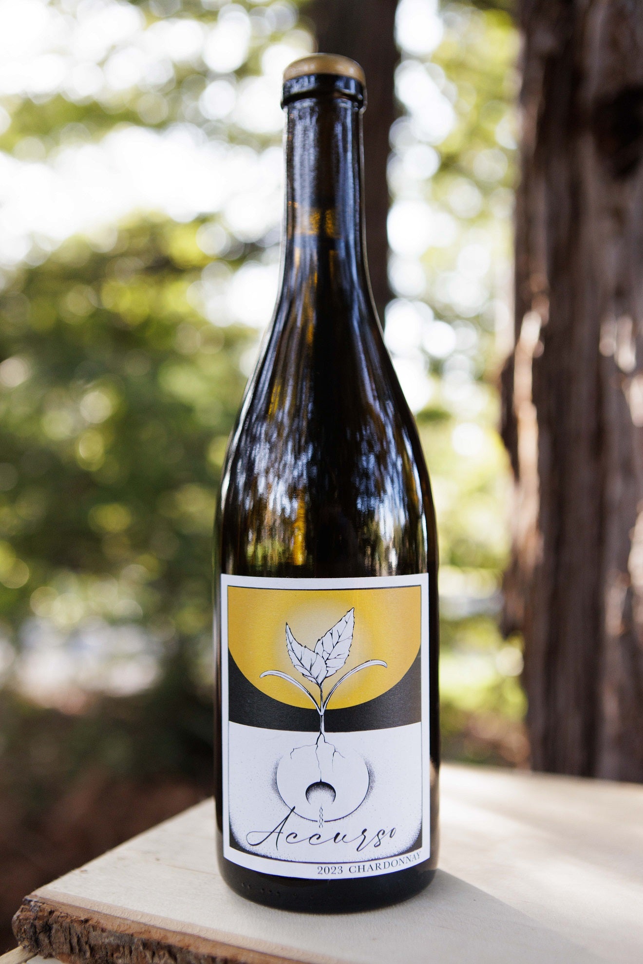 2023 Chardonnay