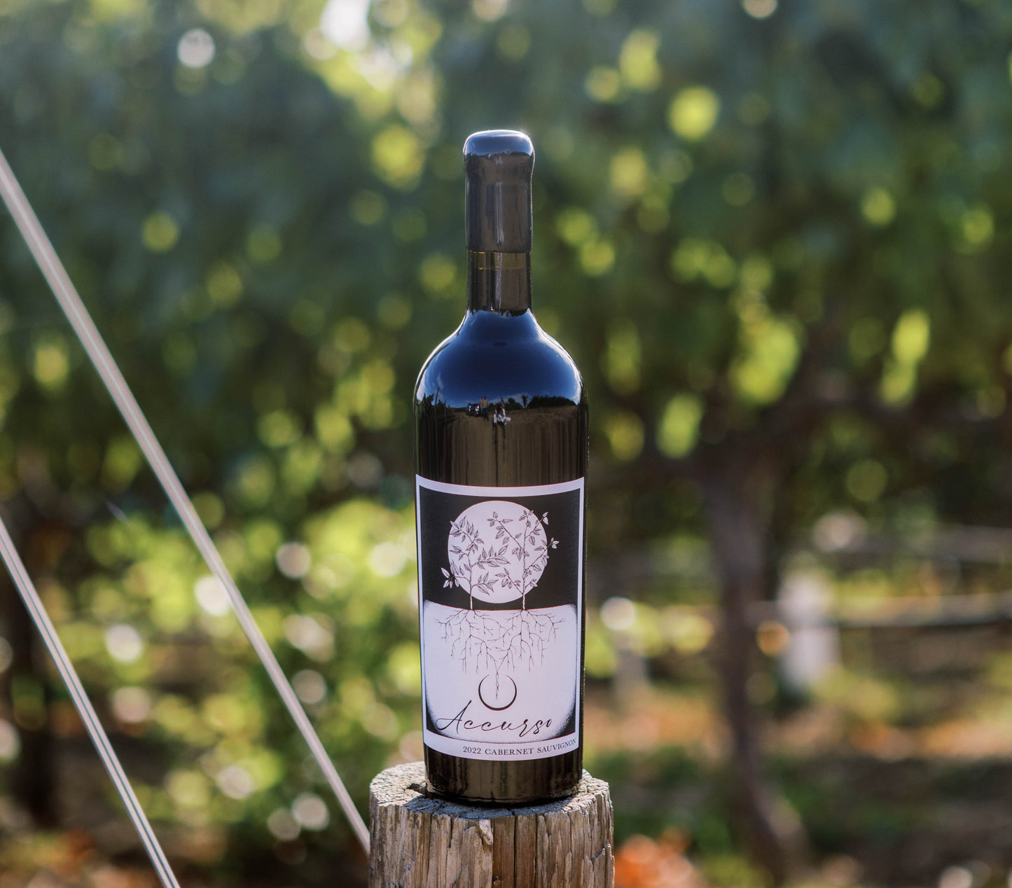 2022 Cabernet Sauvignon