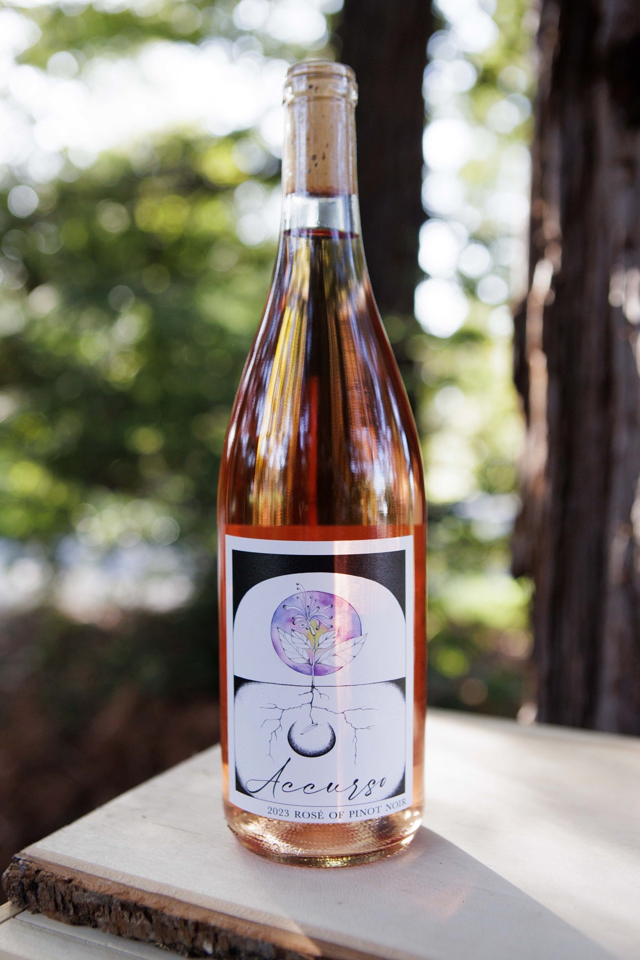 2023 Rose of Pinot Noir