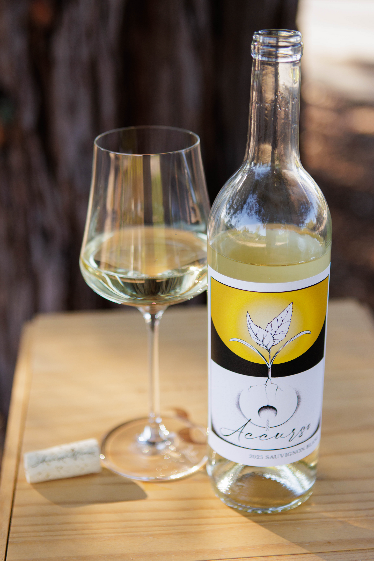 2025 Sauvignon Blanc