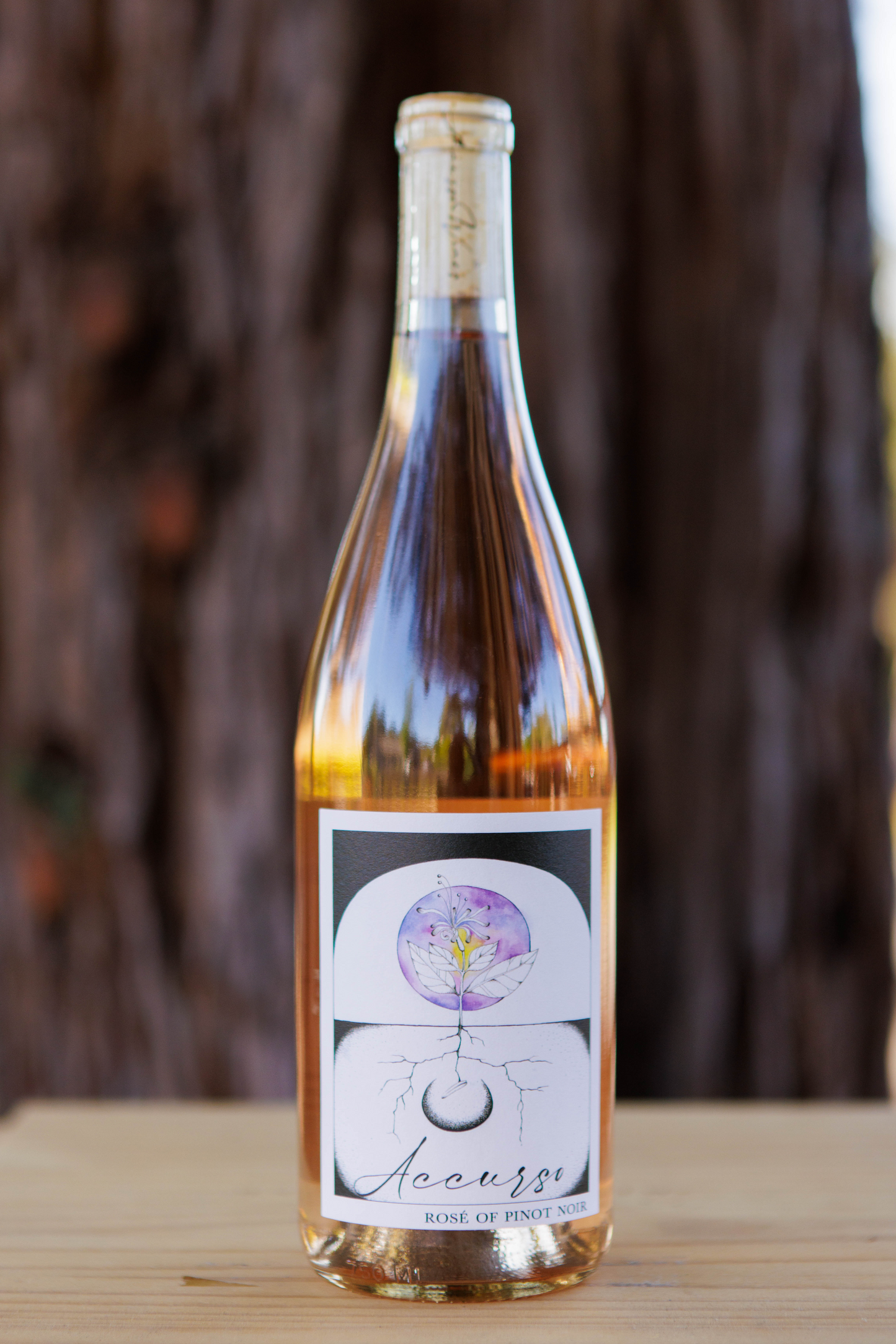 Rose of Pinot Noir